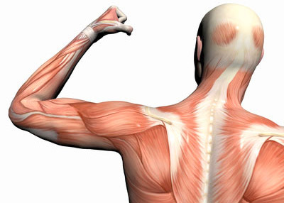 Kinesio tape muscle performance